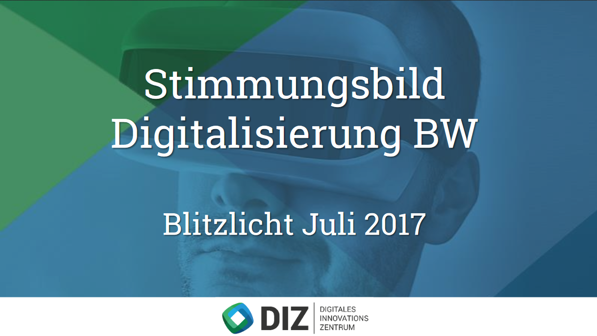 Stimmungsbild Digitalisierung BW - Blitzlicht Juli 2017